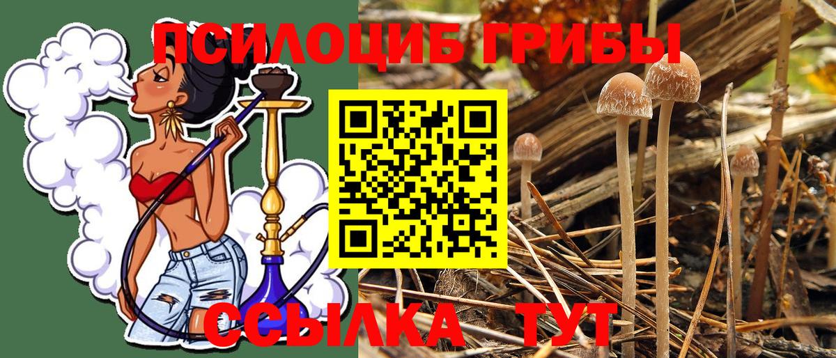 Псилоцибиновые грибы Magic Shrooms  Вход с VPN  Переславль-Залесский 
